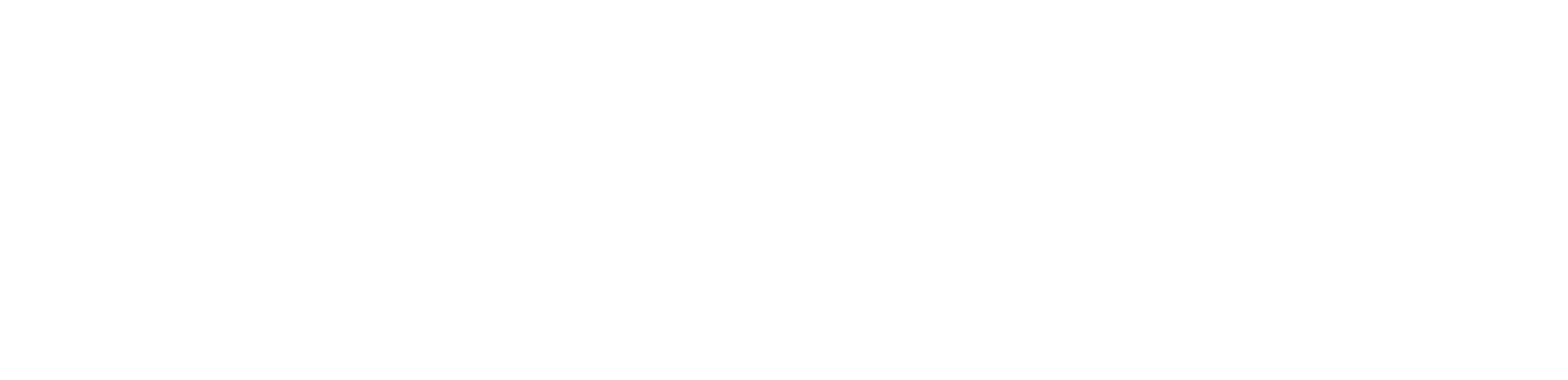 Carnival